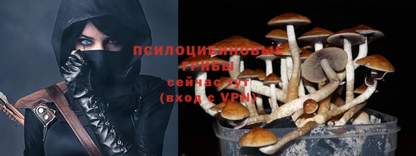 ГАЛЛЮЦИНОГЕННЫЕ ГРИБЫ Нефтегорск