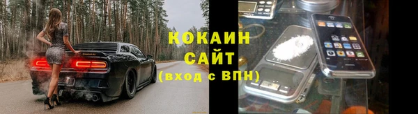 PSILOCYBIN Навашино