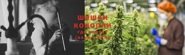 PSILOCYBIN Навашино