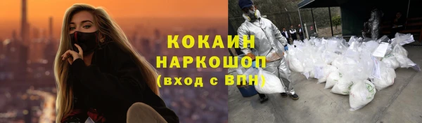 PSILOCYBIN Навашино