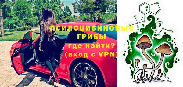 дурь Надым