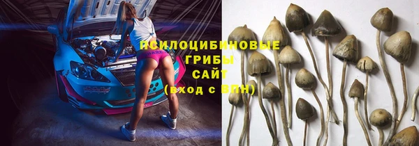 PSILOCYBIN Навашино