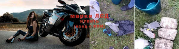PSILOCYBIN Навашино