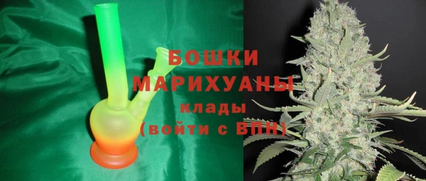 PSILOCYBIN Навашино